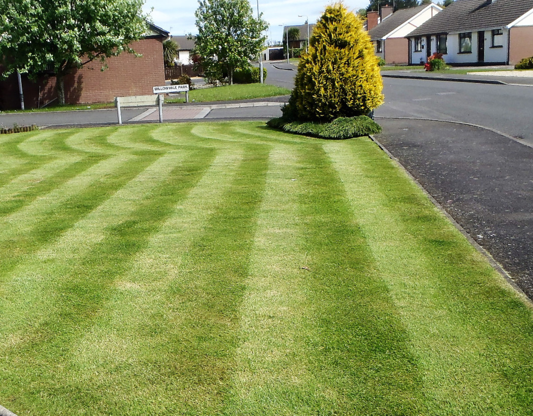 Lawn care in County Antrim